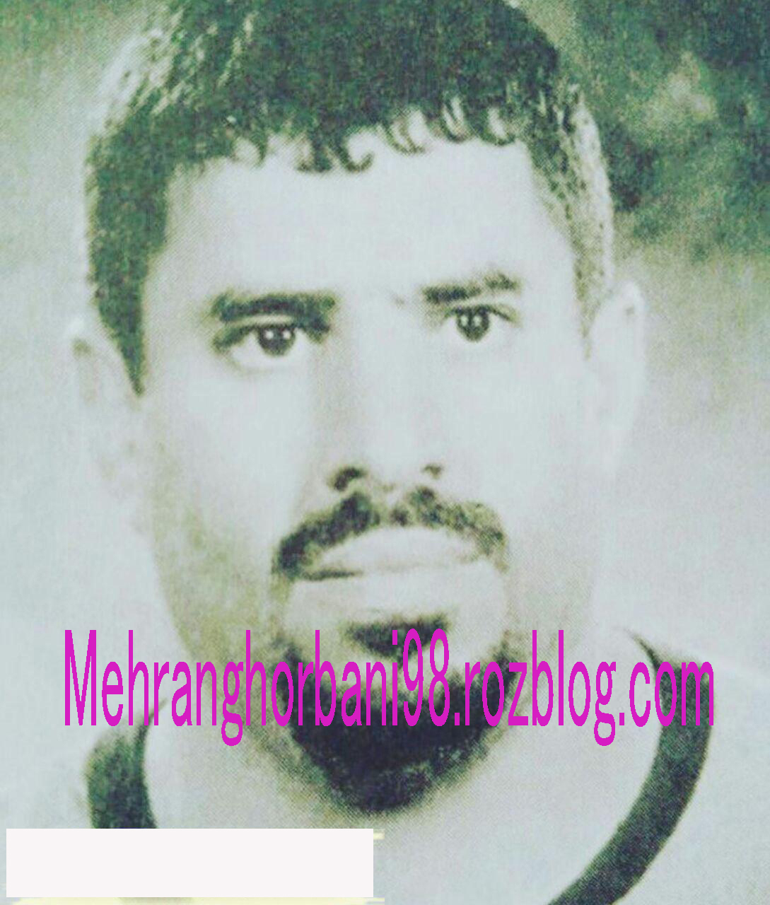 سید مرتضی اشرفی